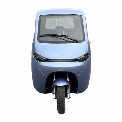 Food Delivery Pick Up Van No Driver License